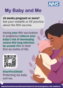 Rsv Vaccine Pregnancy